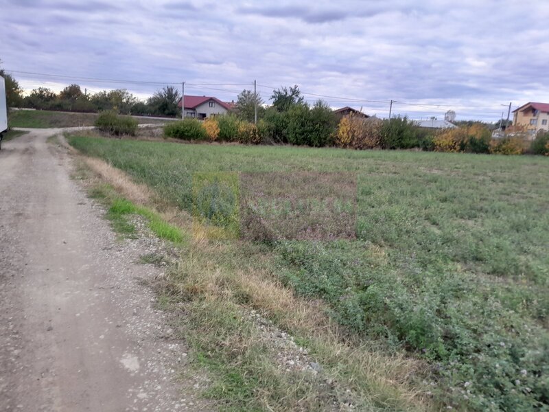 COSERENI( il ) - TEREN  2K MP DE VANZARE (52 M DESCHIDERE LA E85 )