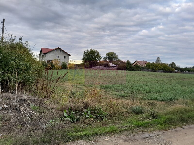 COSERENI( il ) - TEREN  2K MP DE VANZARE (52 M DESCHIDERE LA E85 )