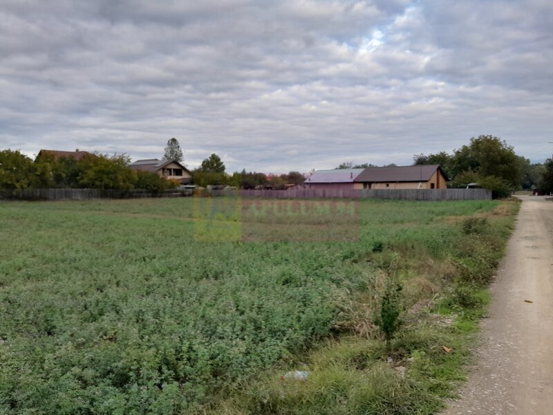 COSERENI( il ) - TEREN  2K MP DE VANZARE (52 M DESCHIDERE LA E85 )